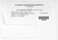 Image Associated With the Occurence
